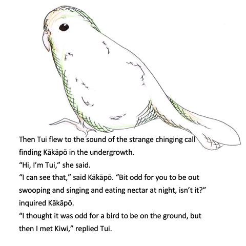 The Odd Tui