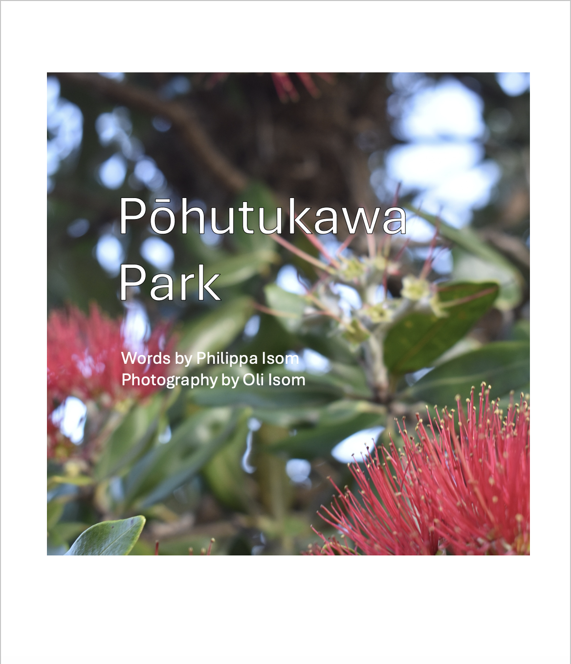 Pōhutukawa Park